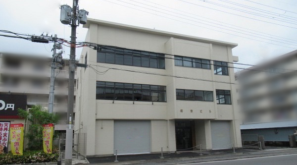 みかんの木